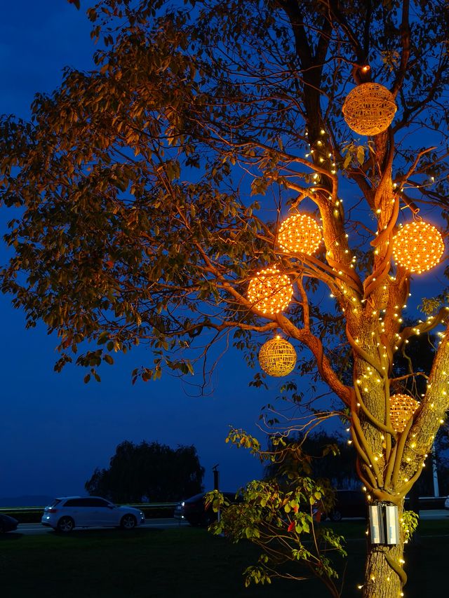 湖州旅行—來 lakeside 空野療癒營地！