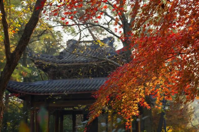 靈隱寺。