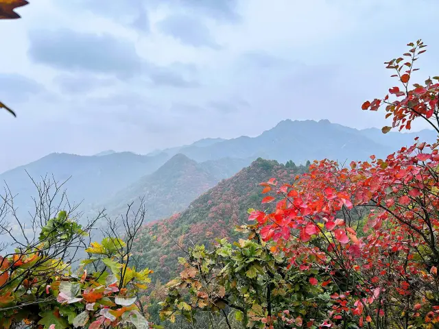 長安子午峪|免費爬山好去處。