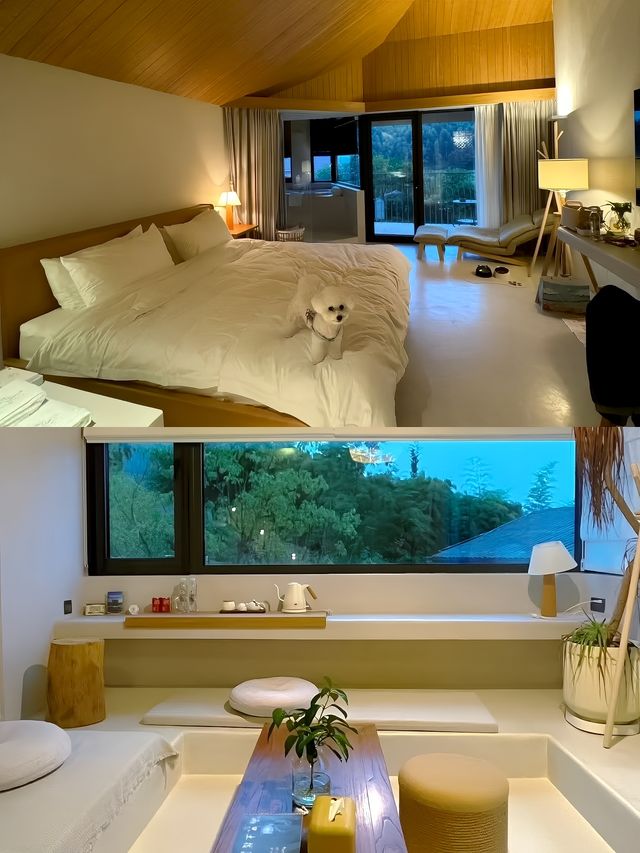 湖州 莫干山！私人溫泉小院氛圍感十足。