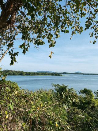 Heritance Kandalama Hotel, hidden among lakes, mountains, and vines.