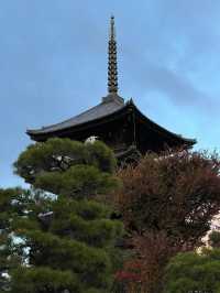 Explore the Stunning Autumn Foliage at Toji Temple in Kyoto!