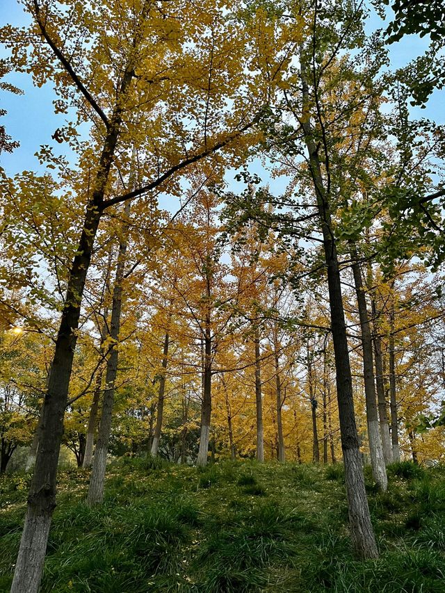 西安雁南公園|這裡的公園不一樣。