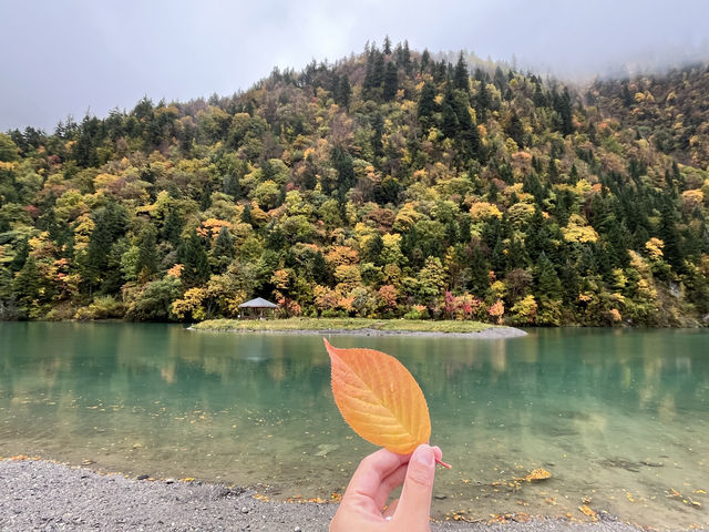 彩林路：風景在路上。