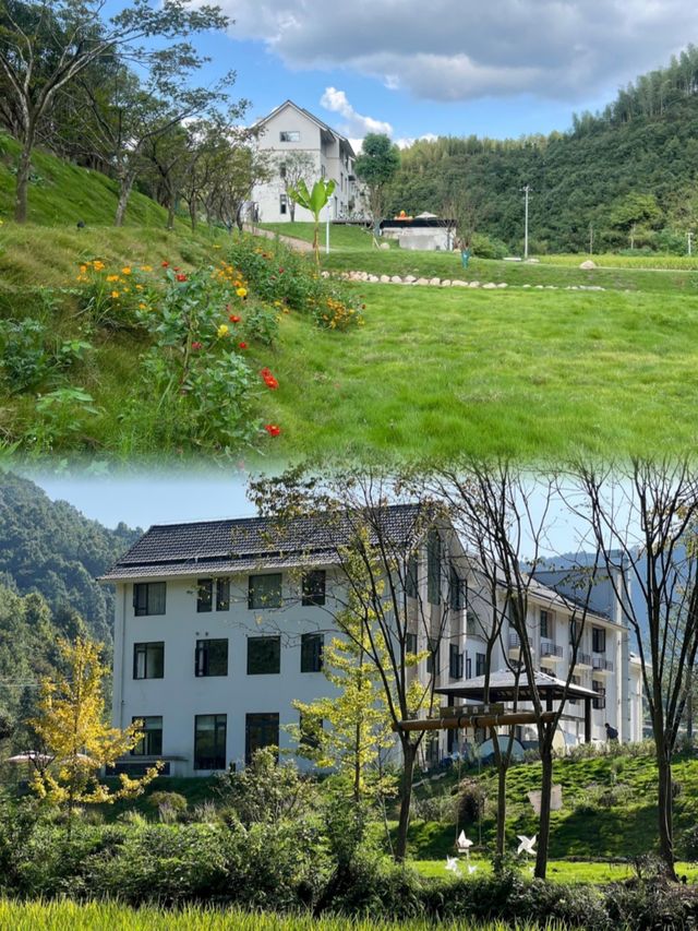 安吉茶海竹林隱匿新晉網紅民宿。