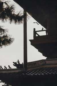 獨樂寺 | 無上國寶，獨一無二。