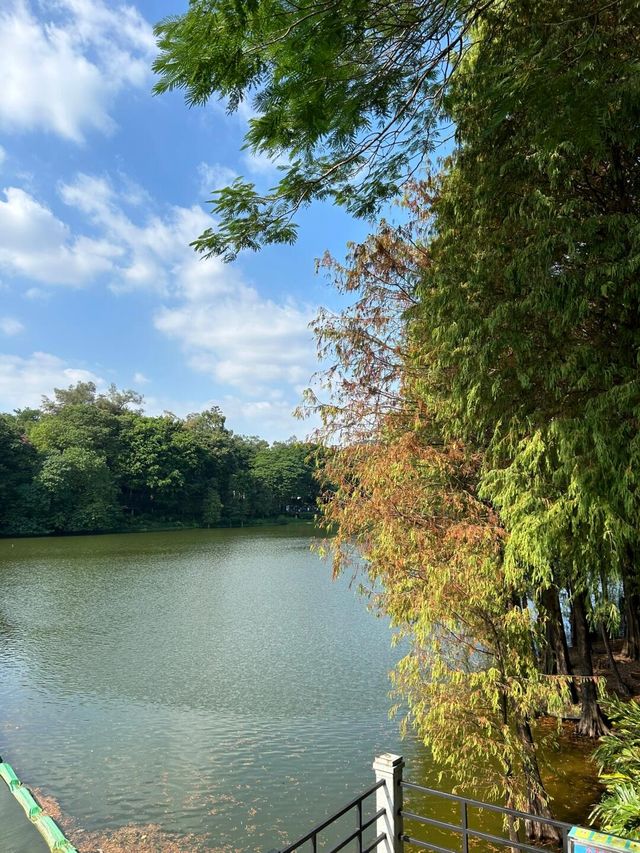 麓湖公園| 這是一個可以逛一整天的公園。