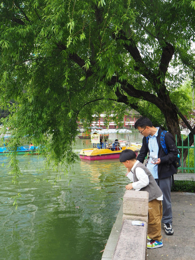 福建福州西湖公園 ｜ 探索「福建園林明珠」之美。