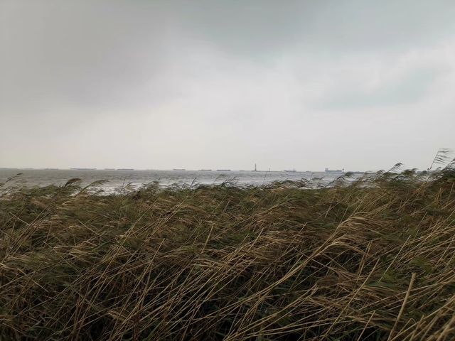 上海小九寨溝~~吳淞炮台灣國家濕地公園。