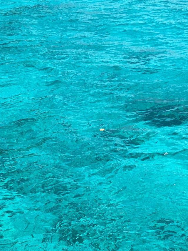 Similan Island in Phuket is so beautiful❤🥰