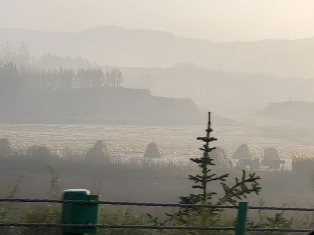 行程標題。