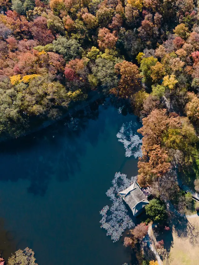 Must-visit places in Nanjing for a 3-day trip