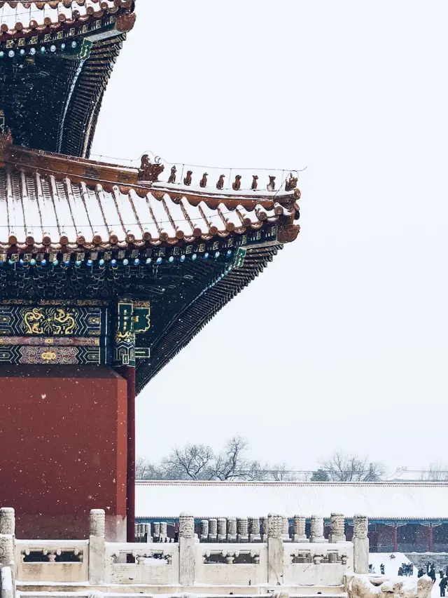 Every brick, every tile, every red wall, two dynasties, three emperors, six hundred years