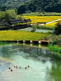 雲南文山壩美村，一步踏進古老夢境