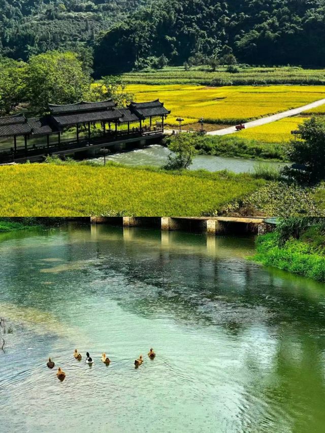 雲南文山壩美村，一步踏進古老夢境