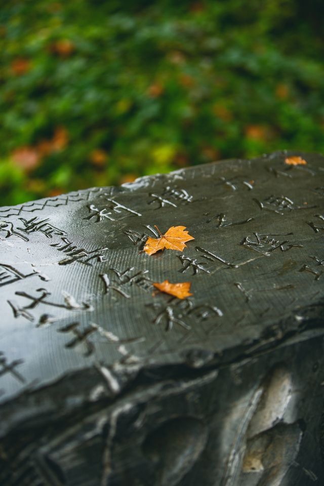 霍格華茲河北分院報道