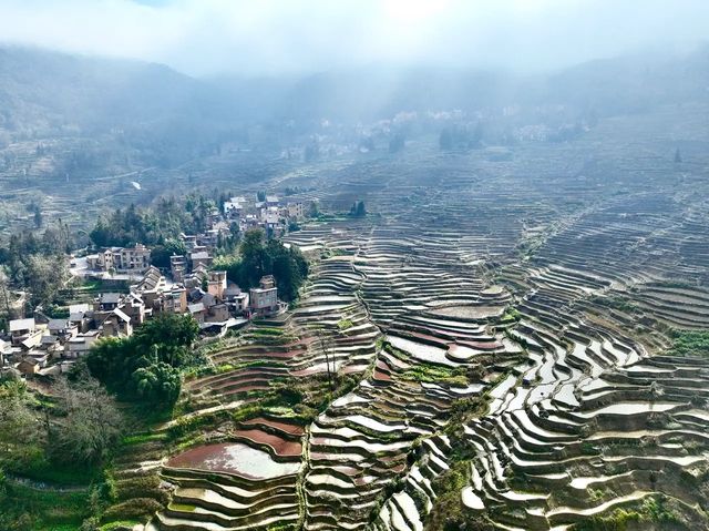 雲裡霧裡的元陽梯田 好美