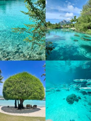 Tahiti: A Dreamy Paradise in the South Pacific