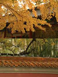 北京漢服體驗‖故宮拍照打卡避坑攻略