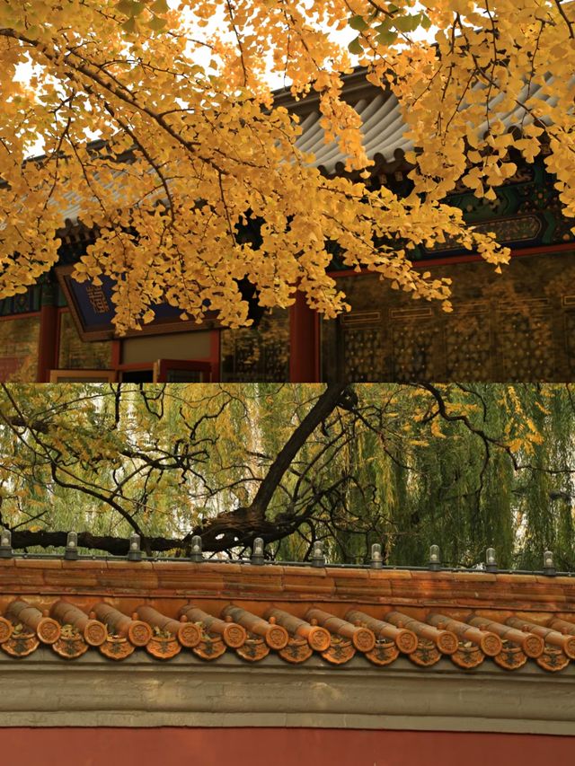 北京漢服體驗‖故宮拍照打卡避坑攻略