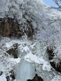 7元的小火車！駛入浪漫的雪國