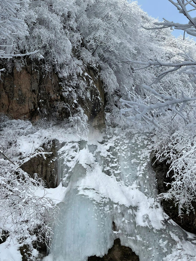 7元的小火車！駛入浪漫的雪國