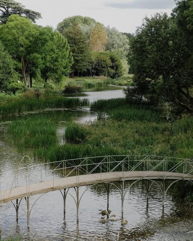 布倫海姆花園：靜享自然的綠意天堂 