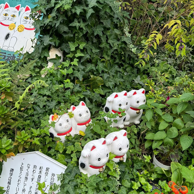 東京今戶神社景點攻略🐱 招财猫發源地
