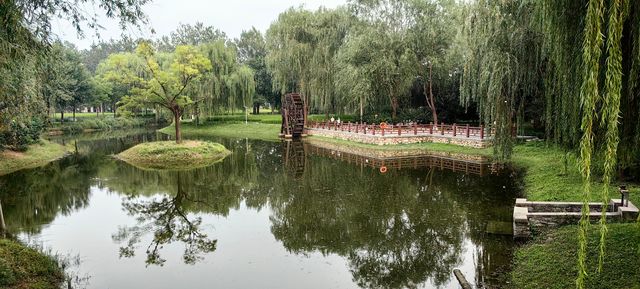 北坞公園的夏天，真美！