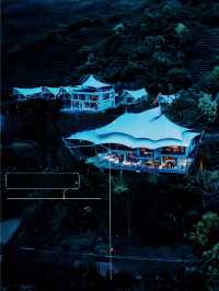 新店首發！在野奢帳篷裡開門見茶山推窗眺竹