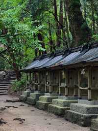 5天行程 體驗日本 比失戀還難以忘懷