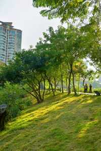 公園20分鐘效應