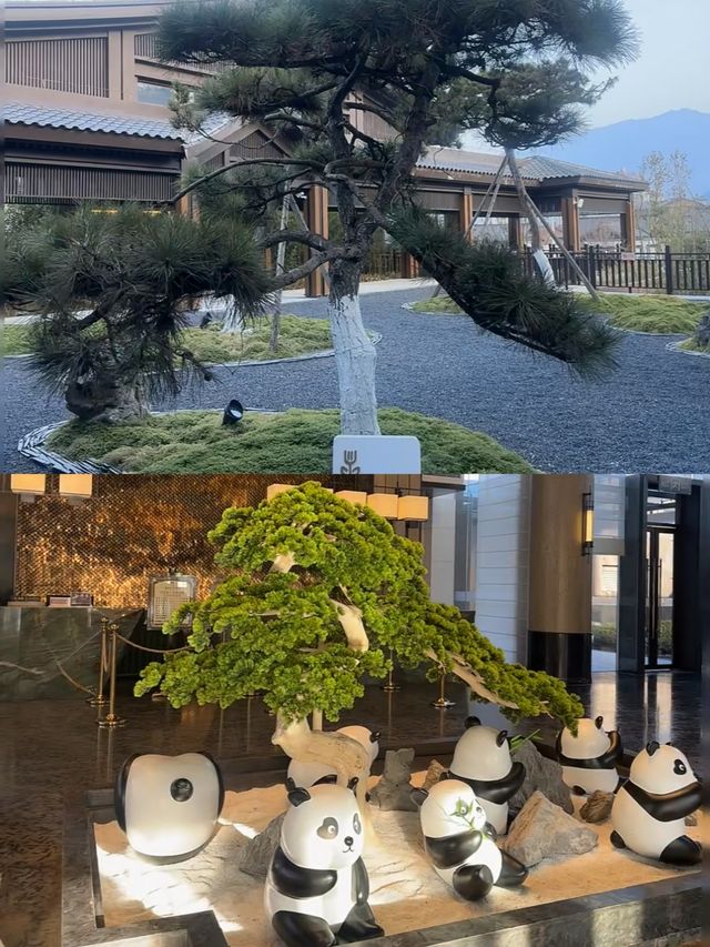 必備!唐家河錦江賓館體驗攻略!