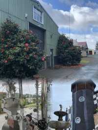 旺阿雷旅行攻略來啦！新西蘭北島的寶藏之地