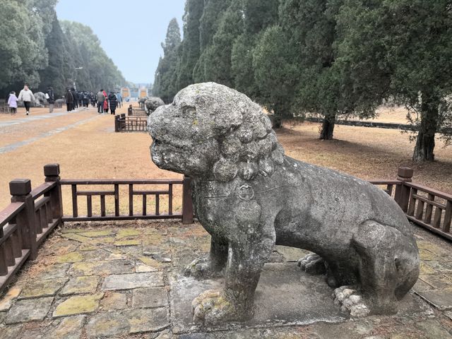 明顯陵