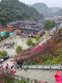 春節祈福、春日賞櫻好去處！