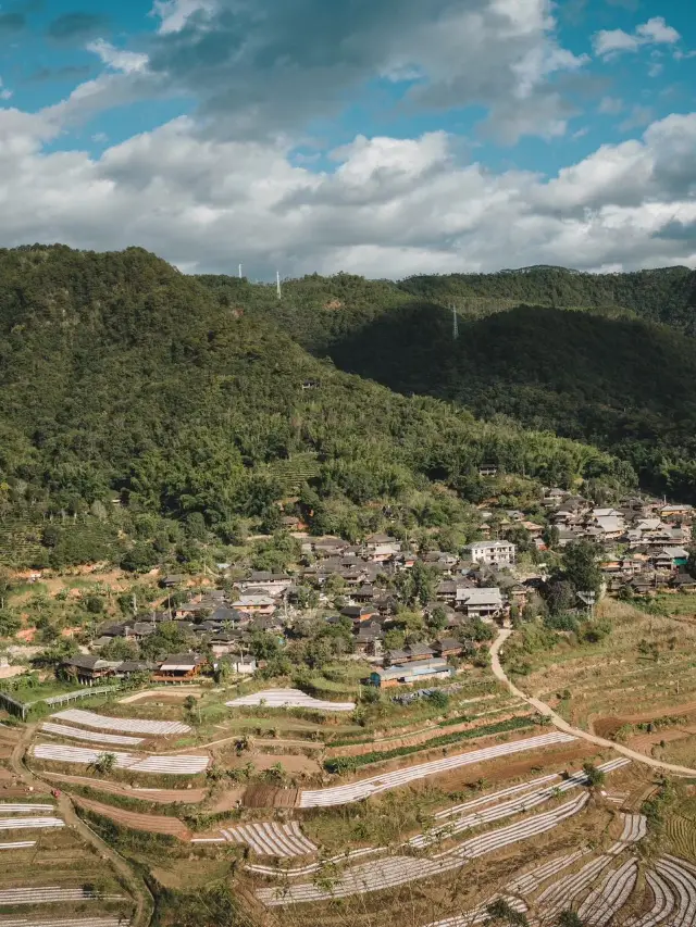 Puer Panda Adventure: A Unique Experience