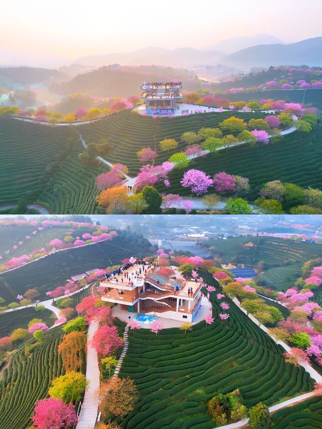 春遊記 | 《國家地理》誠不欺我，福建的春天美得讓人心醉
