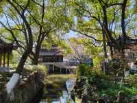 寧波中山公園遇上早春紅梅！