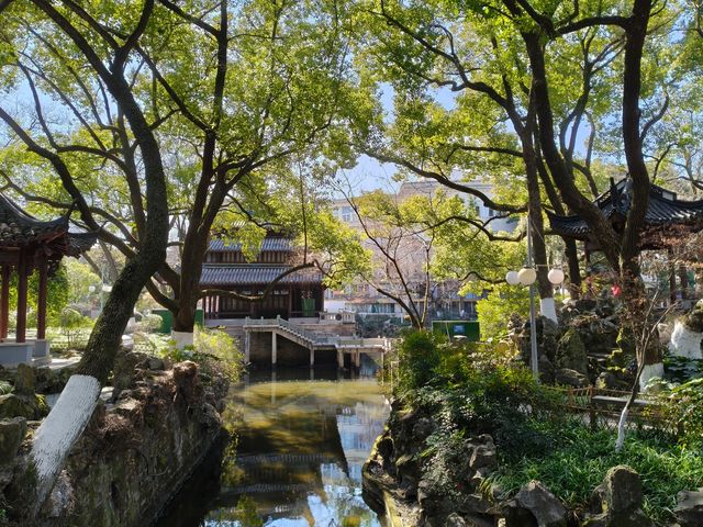 寧波中山公園遇上早春紅梅！