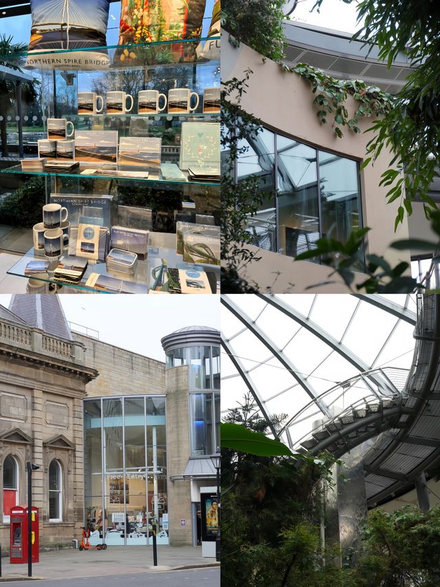 冬日闖進桑德蘭，邂逅藏在花園裏的春日溫柔
