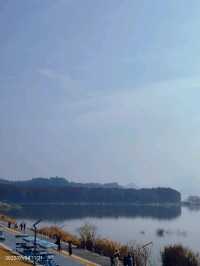Travel Experience at Qingshan Lake in Hangzhou