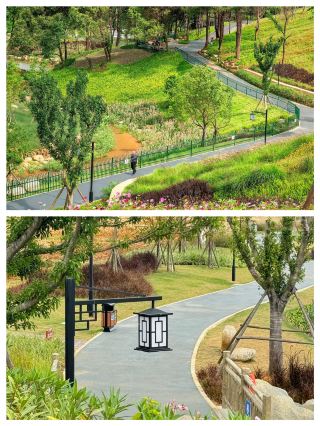 Longzhou Wetland Park is a beautiful place of natural harmony. 
