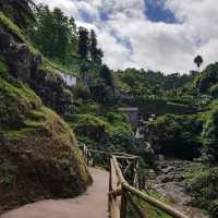 葡萄牙聖米格爾島卡爾代龍溪自然公園：自然愛好者的天堂