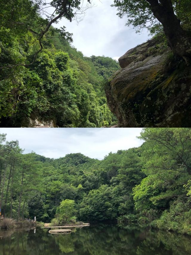 探索廣西防城港十萬大山，隱藏的自然奇觀！