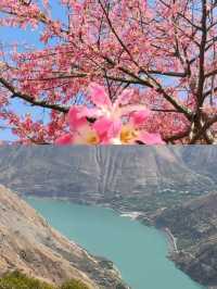 攀枝花已回，真心不建議2月去。