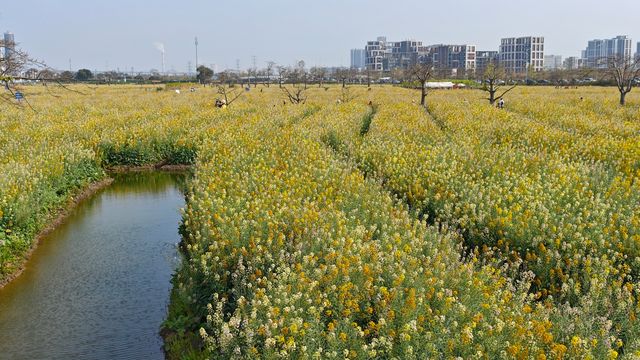 農業公園，大有可為