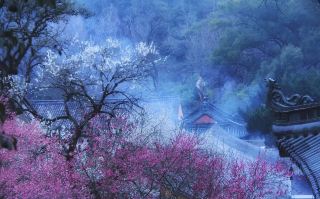 Tiantai Mountain Travel Guide 2025: One-Day Trip Itinerary