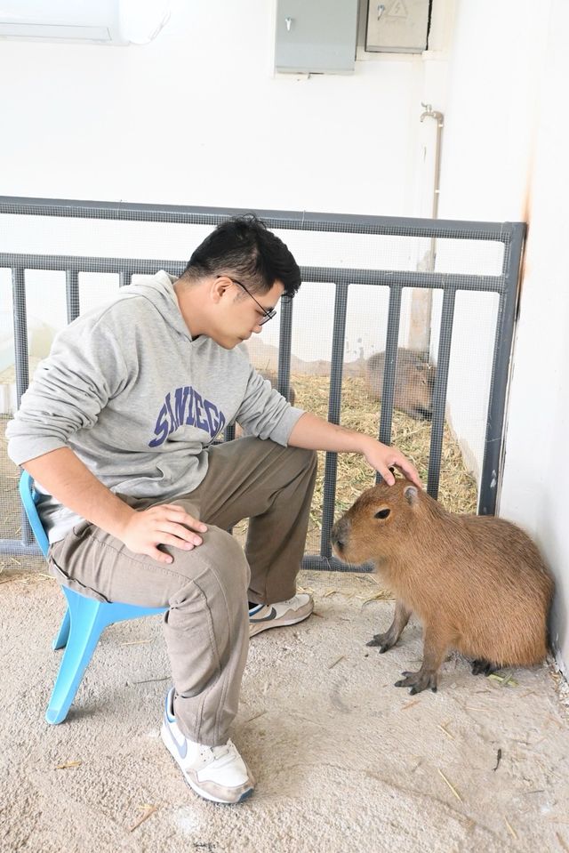 廣佛周邊遊| 盈香心動樂園遊玩攻略碼住～