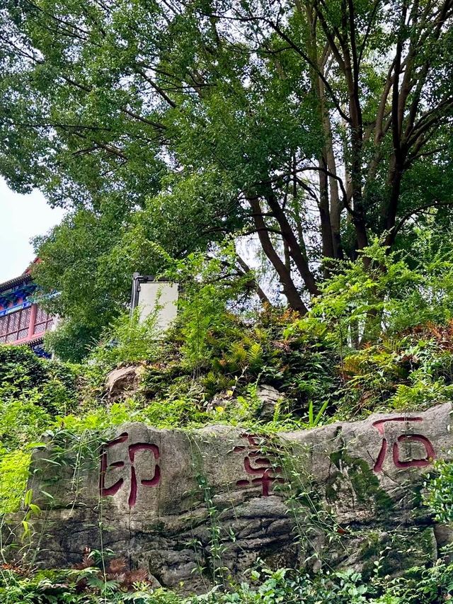 神農架睇熊貓宜昌－三峽大壩遊玩全攻略快碼住